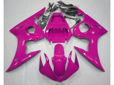 Glanzrosa 2003-2004 R6 Motorrad Verkleidung