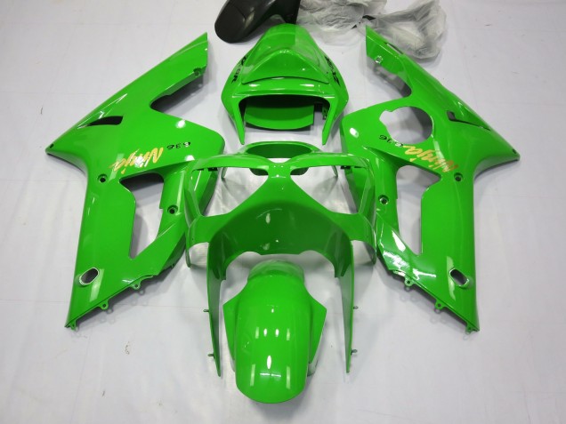 Grüner Ninja 2003-2004 ZX6R Motorrad Verkleidung