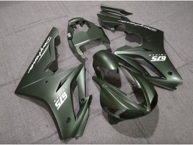 Matt Grün Weiß 2009-2012 Daytona 675 Motorrad Verkleidung