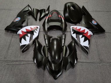 Matt Schwarzer Betty Bomber 2004-2005 ZX10R Motorrad Verkleidung