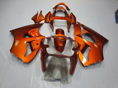 Orange 2000-2002 ZX6R Motorrad Verkleidung