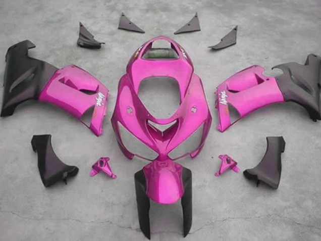 Rosa 2005-2006 ZX6R Motorrad Verkleidung