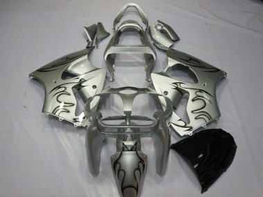 Silber Flamme 2000-2002 ZX6R Motorrad Verkleidung